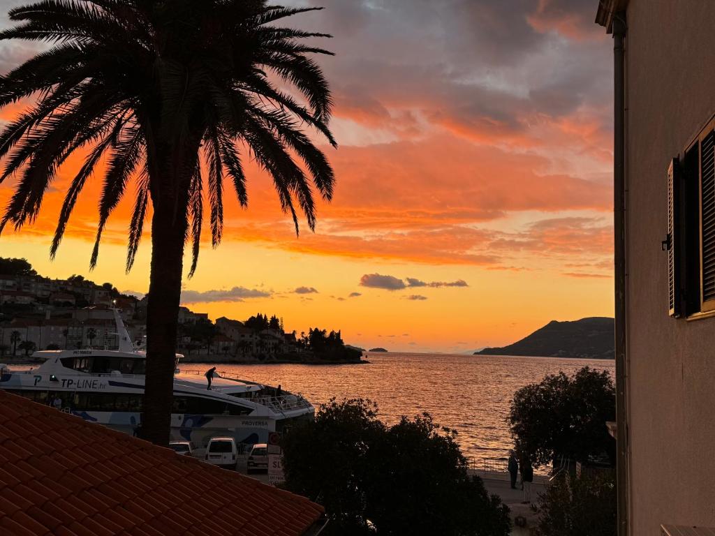 One-Bedroom Apartment 11